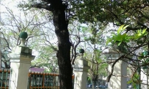 La Quinta de los Molinos