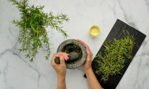 ¿Mejorar la cognición y la memoria con romero?