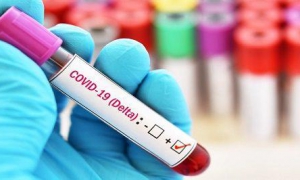 Variante delta: Desafíos e incertidumbres ante mayor incidencia 