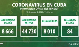 Parte de salud 18 agosto