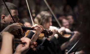 ¿Es el cerebro es capaz de 