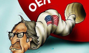 La OEA de Almagro es un ente intervencionista y carente de credibilidad