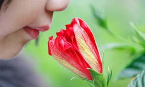 Olores: Sentido que nos lleva a los recuerdos 