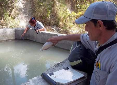 Lucha contra el mosquito Aedes Aegypti.