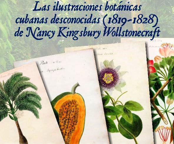 INVITACION LAS ILUSTRACIONES BOTANICAS CUBANAS DESCONOCIDAS