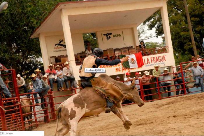 rodeo