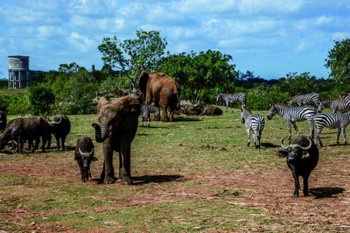 Complejo Parque Zoológico Nacional