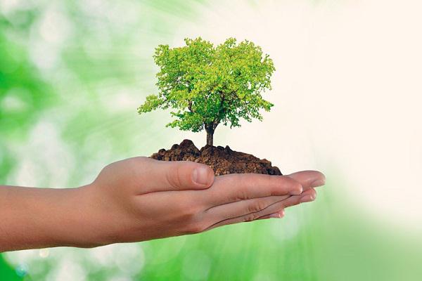 Cuba preserva el Medio Ambiente