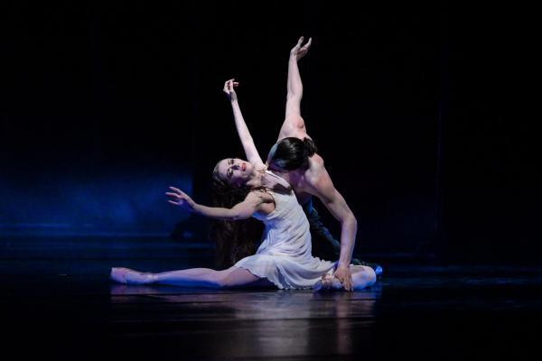 dracula ballet gretel morejon