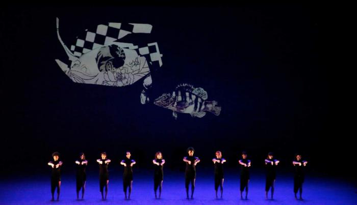 Danza Contemporánea de Cuba