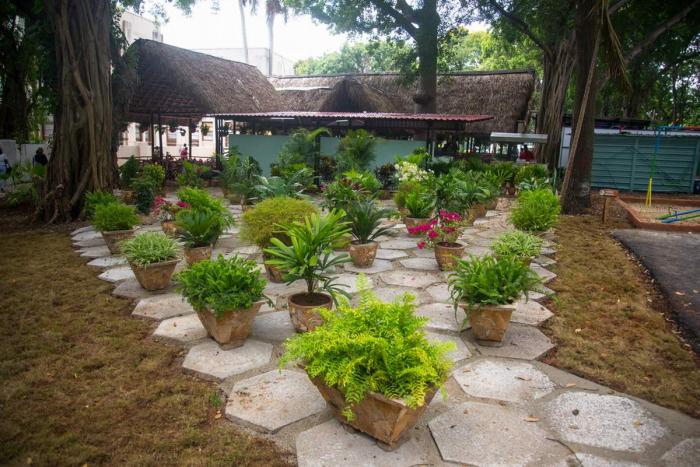 En este oasis se podrá disfrutar de restaurantes de lujo, orquidiario, ventas de cactus y especies de jardín, en un entorno acogedor.