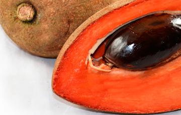 mamey