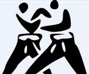 Logo de judo