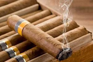 Habanos, Festival.