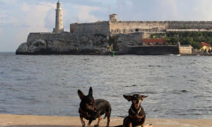 Amanecer en la Bahía de La Habana