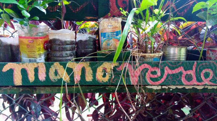 Proyecto comunitario Mano Verde