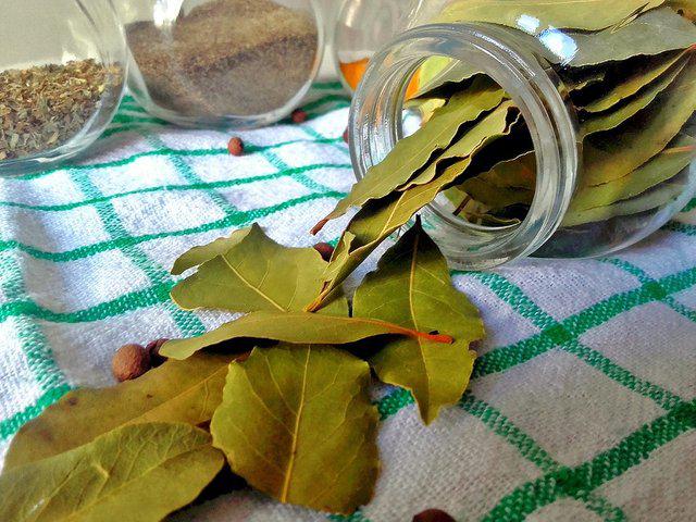 laurel para té. 