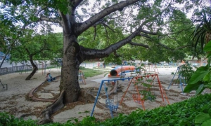 Parque Metropolitano: una invitación al descanso
