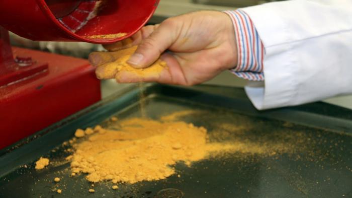 Harina nutritiva de zanahoria previene enfermedades crónicas