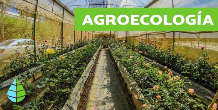 Concurso reconocerá mejores prácticas agroecológicas