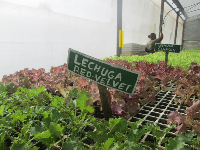 No hay obstáculo en Las piedras