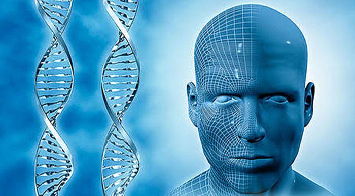 Hallan el gen detrás del diseño del rostro humano