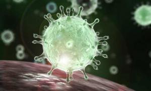coronavirus