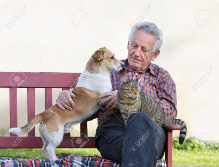 Vivir con un perro o gato
