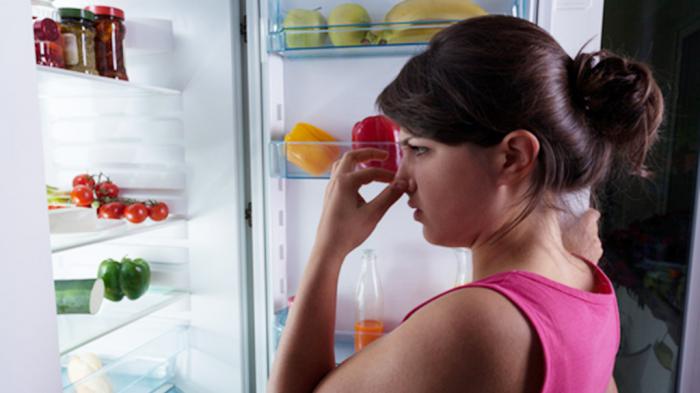 Adiós a los olores en el refrigerador