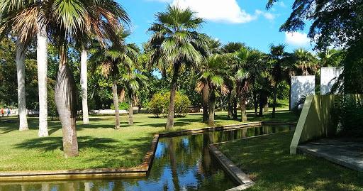 El primer canopy de La Habana se inaugurará el Jardín Botánico Nacional