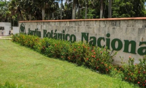 El primer canopy de La Habana se inaugurará el Jardín Botánico Nacional