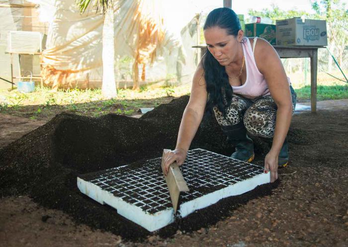 Mujer trabajando en la agricultura