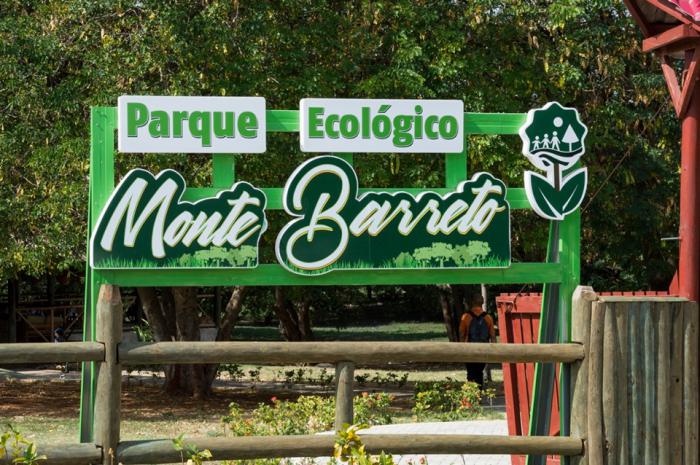 Monte Barreto en busca del orden