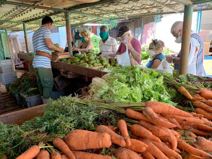 Mercado agropecuario en La Habana