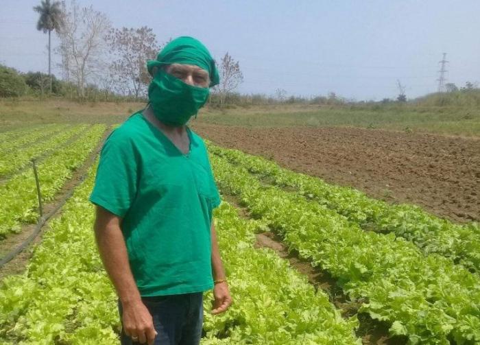 Acuicultura en La Lisa ante la Covid-19