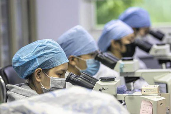 Investigadores para vacuna Covid 19