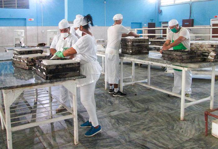 personas elaborando pan en panaderia