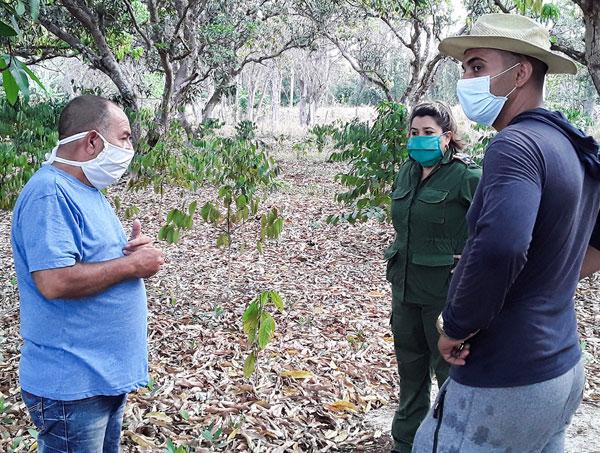 Finca Revolución, en El Cotorro