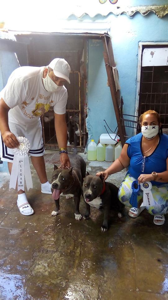 Lesmy e Izel, junto a Diva y Venus