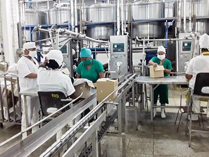 personas trabajando en la fabrica de helados matilda