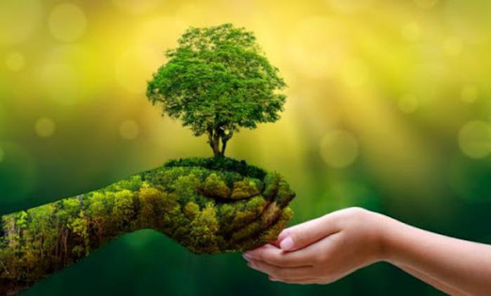 Medio ambiente, Día Mundial del Medio Ambiente