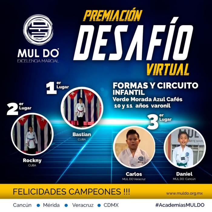 desafío virtual MUL DO Taekwondo