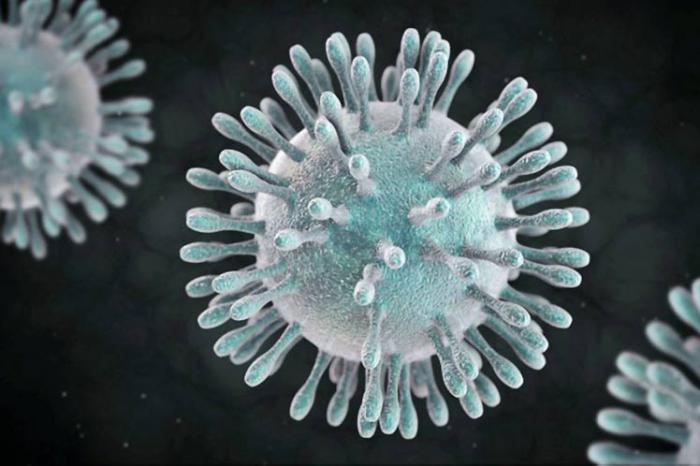 Coronavirus