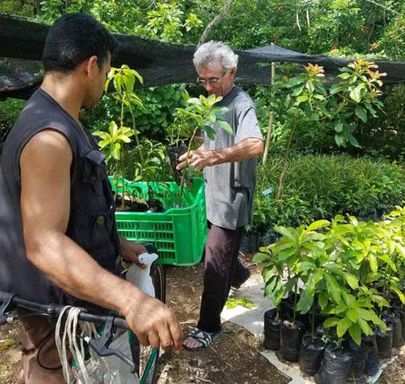 Trabajadores forestales