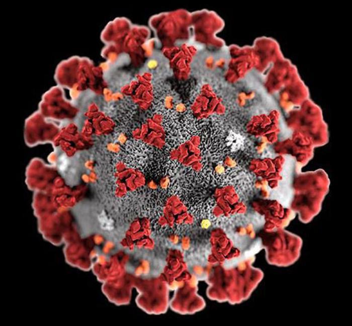 imagen de coronavirus