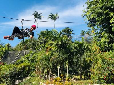 Ya entró en funcionamiento el Canopy del Jardín Botánico Nacional