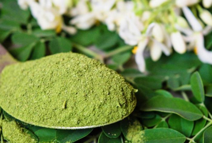 La moringa