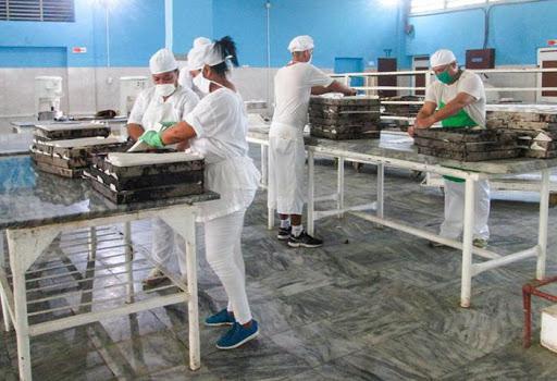 producción de alimentos