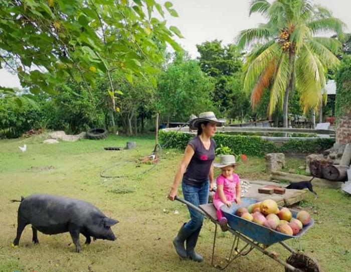 Grupo de Jóvenes Agroecólogos