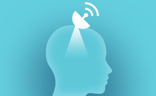 cerebro humano